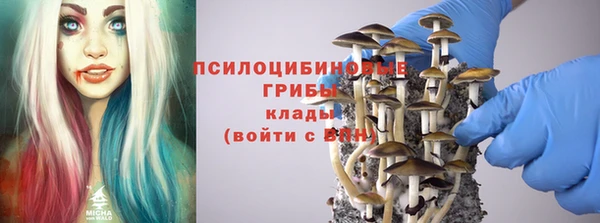 ешки Белокуриха