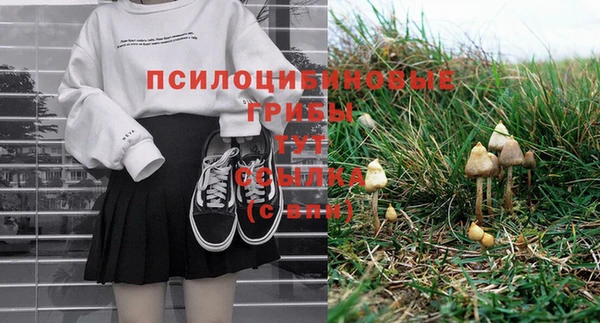 ешки Белокуриха
