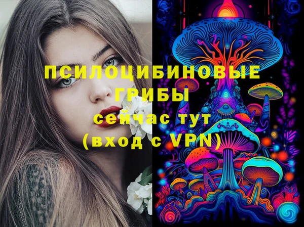 ешки Белокуриха