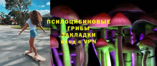 ешки Белокуриха
