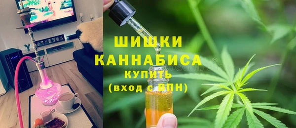 ешки Белокуриха